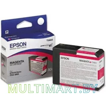 Картридж Epson C13T580300 картинка 3